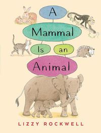 Cover image for A Mammal is an Animal