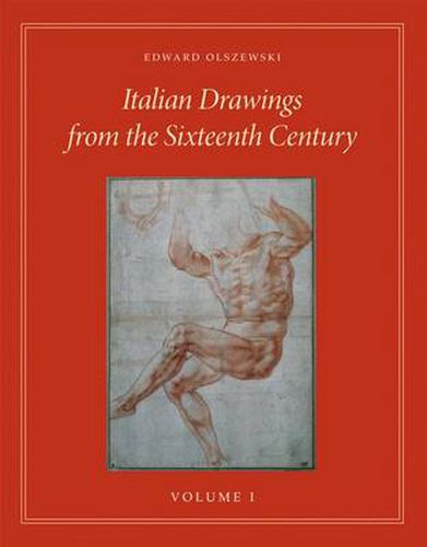 Cover image for Sixteenth-Century Italian Drawings