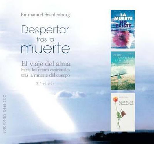 Cover image for Despertar Tras La Muerte