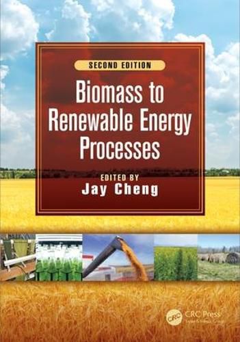 Cover image for Biomass to Renewable Energy Processes