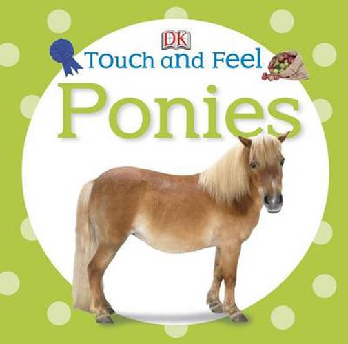 Cover image for Touch and Feel: Ponies