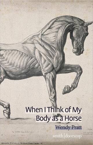 Cover image for When I Think of My Body as a Horse