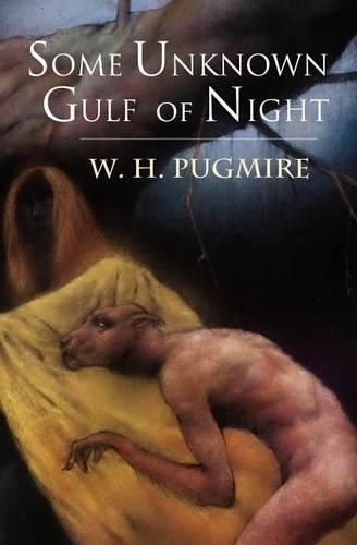 Cover image for Some Unknown Gulf of Night