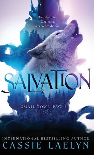 Cover image for Salvation