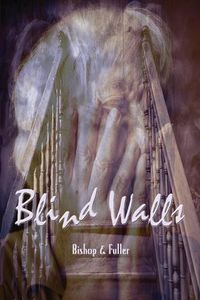 Cover image for Blind Walls
