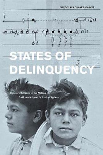 Cover image for States of Delinquency: Race and Science in the Making of California's Juvenile Justice System