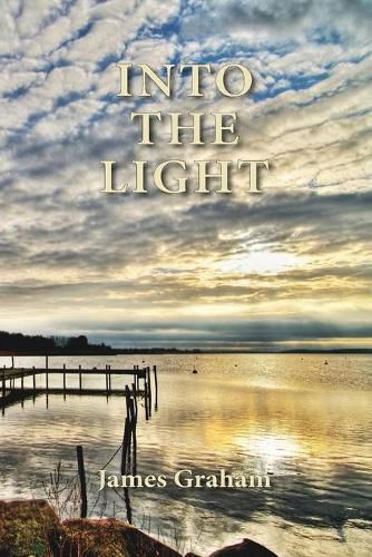 Cover image for Into the Light