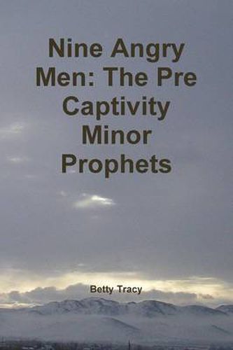 Cover image for Nine Angry Men: the Pre Captivity Minor Prophets