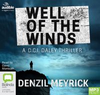 Cover image for Well of the Winds