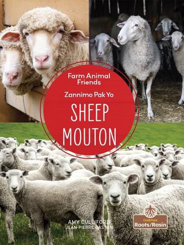 Mouton (Sheep) Bilingual Eng/Cre