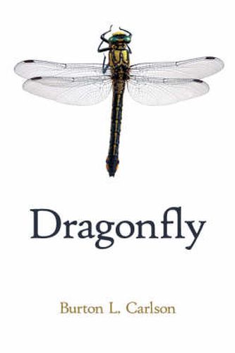 Cover image for Dragonfly