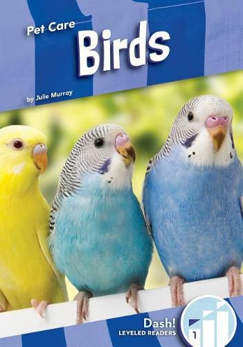 Cover image for Birds