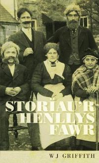 Cover image for Storiau'r Henllys Fawr