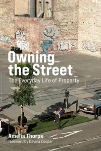 Cover image for Owning the Street: The Everyday Life of Property