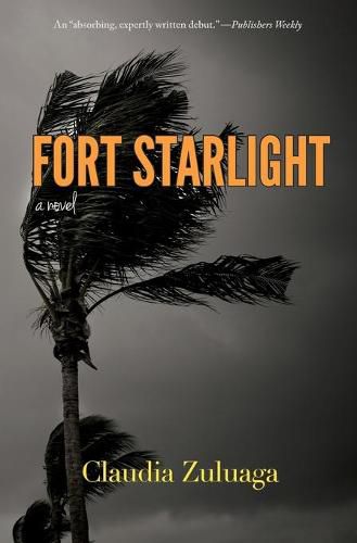 Cover image for Fort Starlight