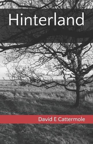 Cover image for Hinterland