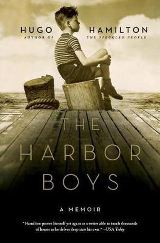 Cover image for The Harbor Boys: A Memoir