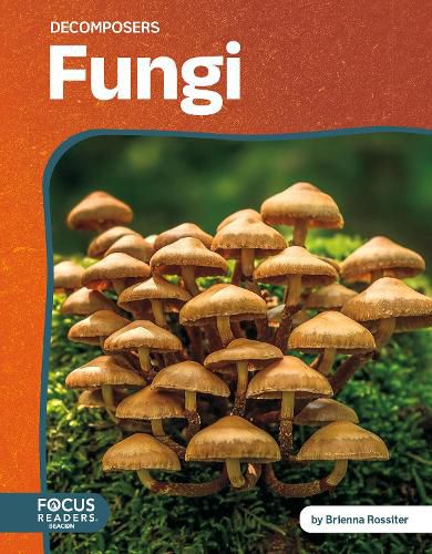 Cover image for Fungi