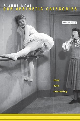 Cover image for Our Aesthetic Categories: Zany, Cute, Interesting