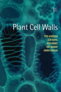 Cover image for Plant Cell Walls: From Chemistry to Biology