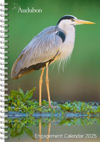 Cover image for Audubon Engagement Calendar 2025