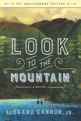 Cover image for Look to the Mountain: A Novel
