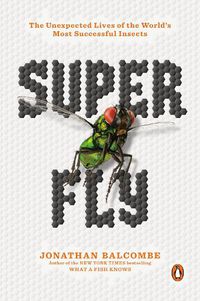 Cover image for Super Fly: The Unexpected Lives of the World's Most Successful Insects