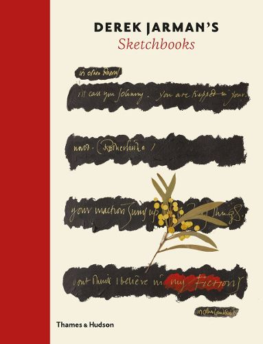 Cover image for Derek Jarman's Sketchbooks