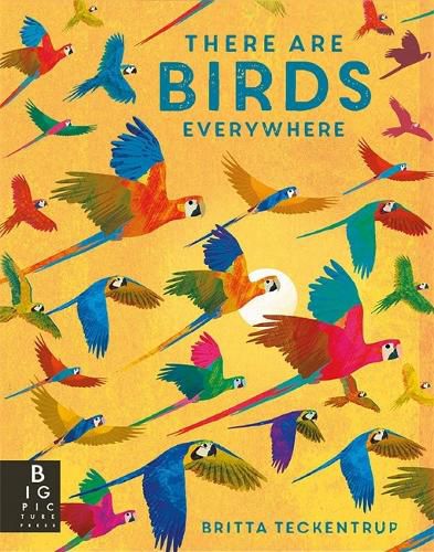 Cover image for There are Birds Everywhere