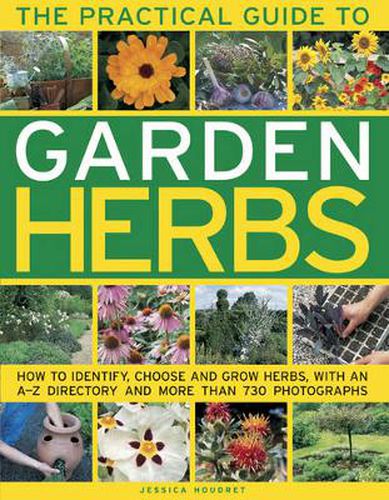 Cover image for Practical Guide to Garden Herbs