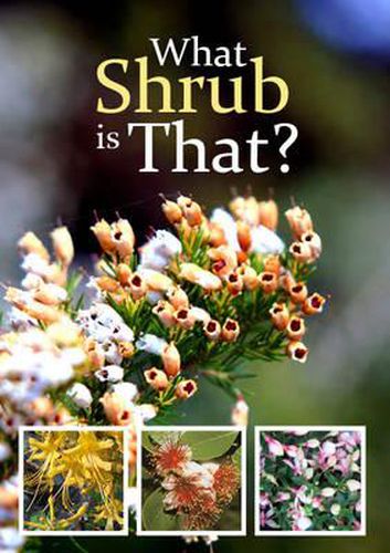 Cover image for What Shrub is That?