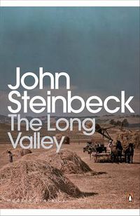 Cover image for The Long Valley