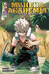Cover image for My Hero Academia, Vol. 29