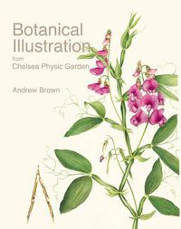 Cover image for Botanical Illustration from Chelsea Physic Garden