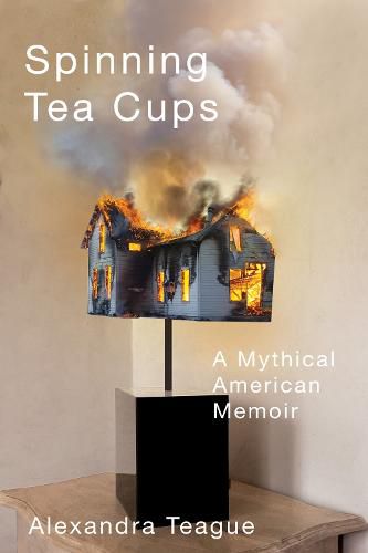 Cover image for Spinning Tea Cups