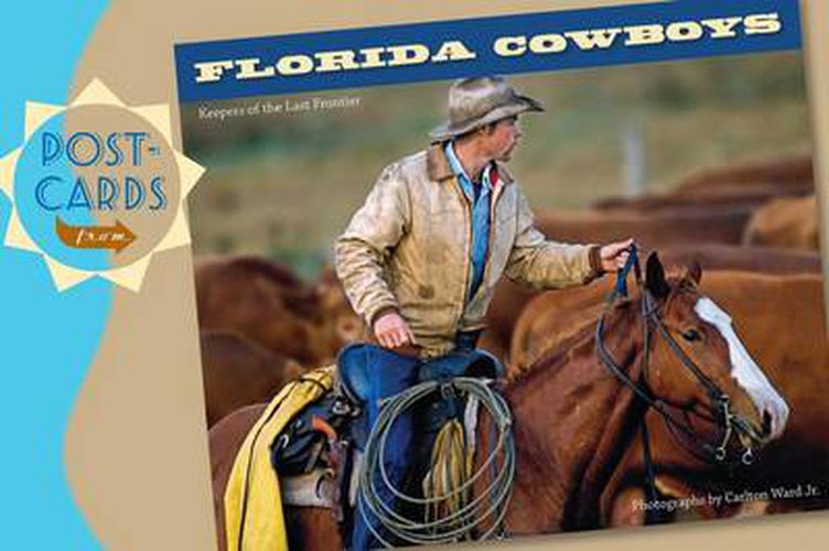 Cover image for Postcards from Florida Cowboys