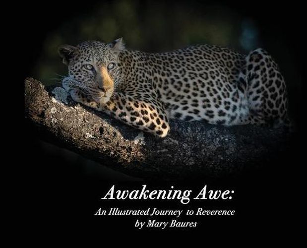 Cover image for Awakening Awe: An Illustrated Journey to Reverence