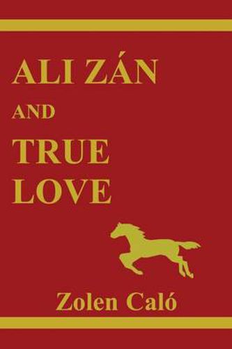 Cover image for Ali Zan and True Love