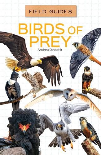 Birds of Prey