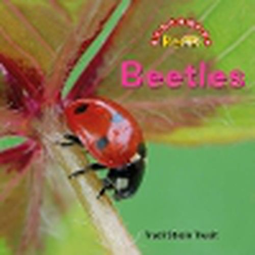 Cover image for Beetles