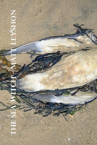 Cover image for The Sea Witch
