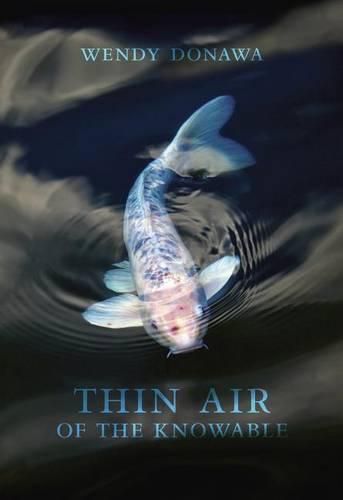 Cover image for Thin Air of the Knowable