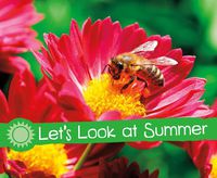 Cover image for Let's Look at Summer