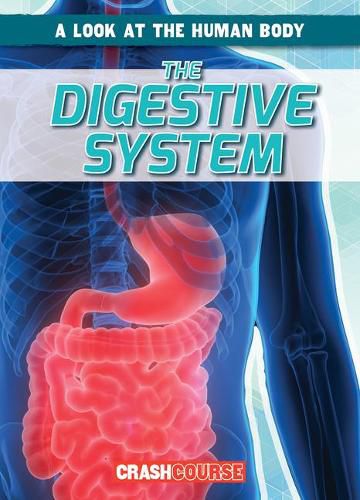 Cover image for The Digestive System