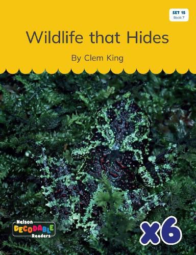 Cover image for Wildlife that Hides x 6 (Set 15, Book 7)