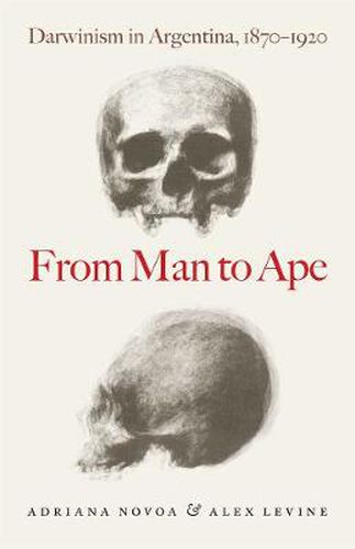 Cover image for From Man to Ape: Darwinism in Argentina, 1870-1920