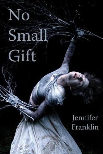 Cover image for No Small Gift