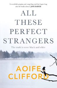Cover image for All These Perfect Strangers