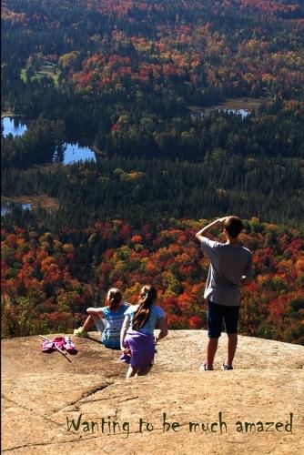 Cover image for Wanting to be Much Amazed