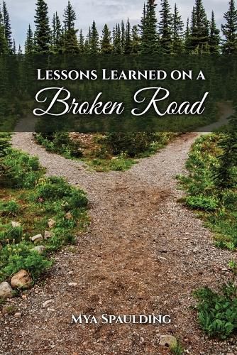 Cover image for Lessons Learned on a Broken Road